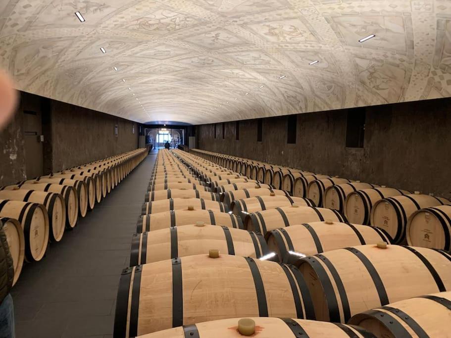 Studio Confortable Aux Portes De Bordeaux Et Medoc Ludon-Médoc Exteriér fotografie